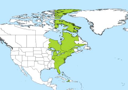 Eastern Daylight Time – EDT Time Zone .